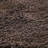 Damek Indoor Rug-645120751