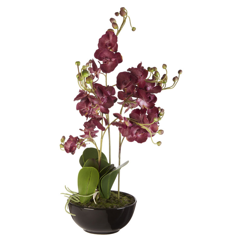 85cm Flowering Plant in Ceramic Pot