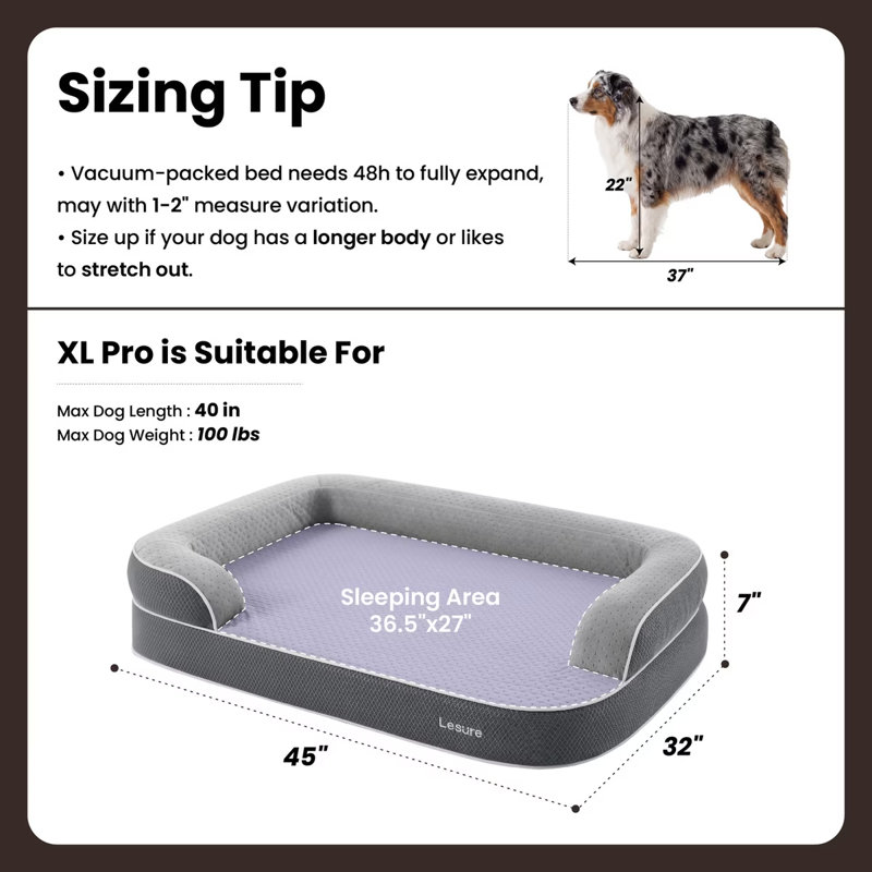 Canapé orthopédique Lesure RealOrtho 3 couches en mousse à mémoire de forme avec housse amovible pour chien, Gris cendre