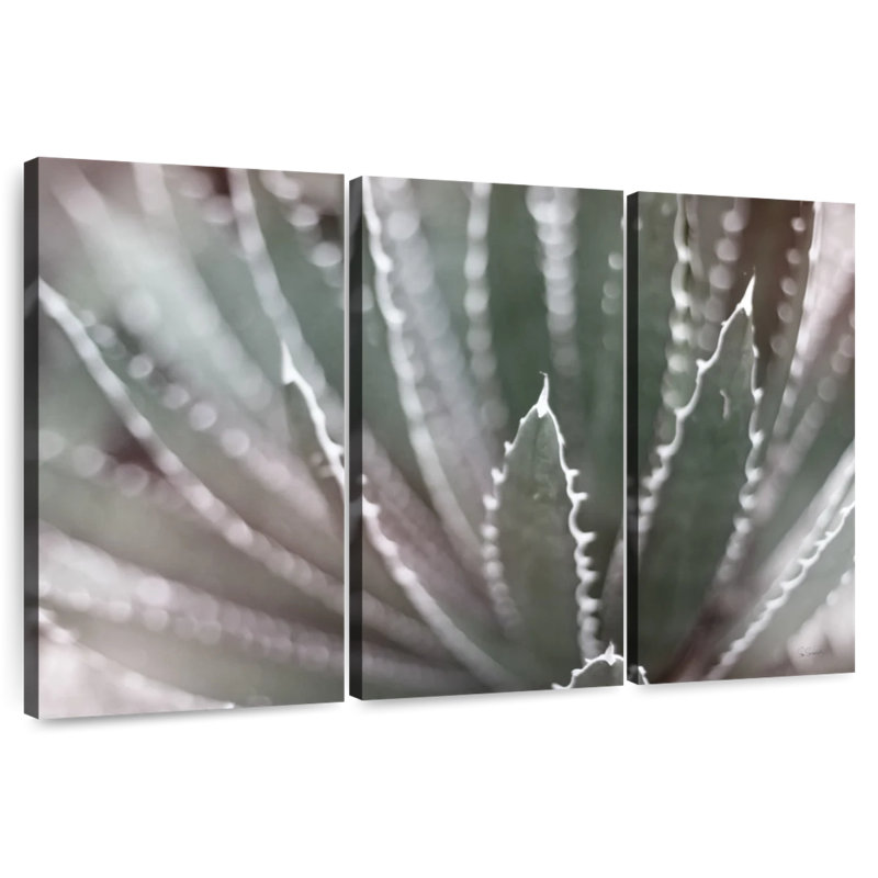 Harnek Dream Desert I BWC, H 36 po x l 57 po