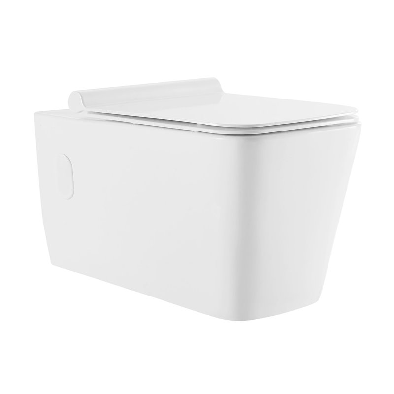Ensemble de toilette à double chasse avec plaque de chasse 0,8 / 1,6 GPF Concorde, Blanc brillant / laiton