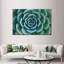 «Live Succulent», reproduction sur toile-92279625