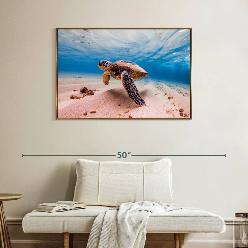 Sandy Turtle, 40" X 27", Floating Frame Gold