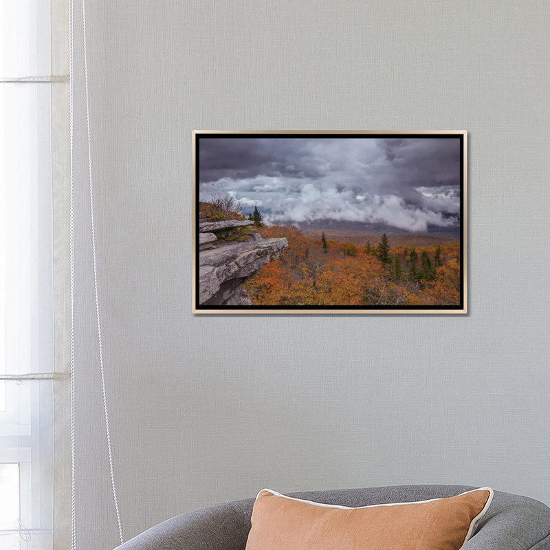 «Storm Over Bear Rocks Preserve At Dolly Sods III», reproduction d'art mural encadrée, H 18 po x l 26 po, Champagne