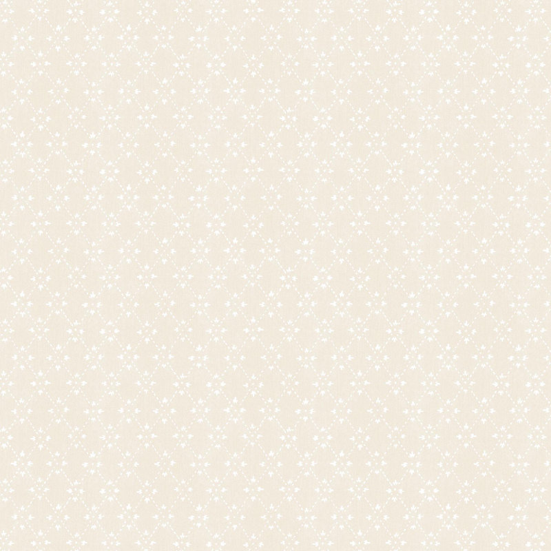 Paisley Print