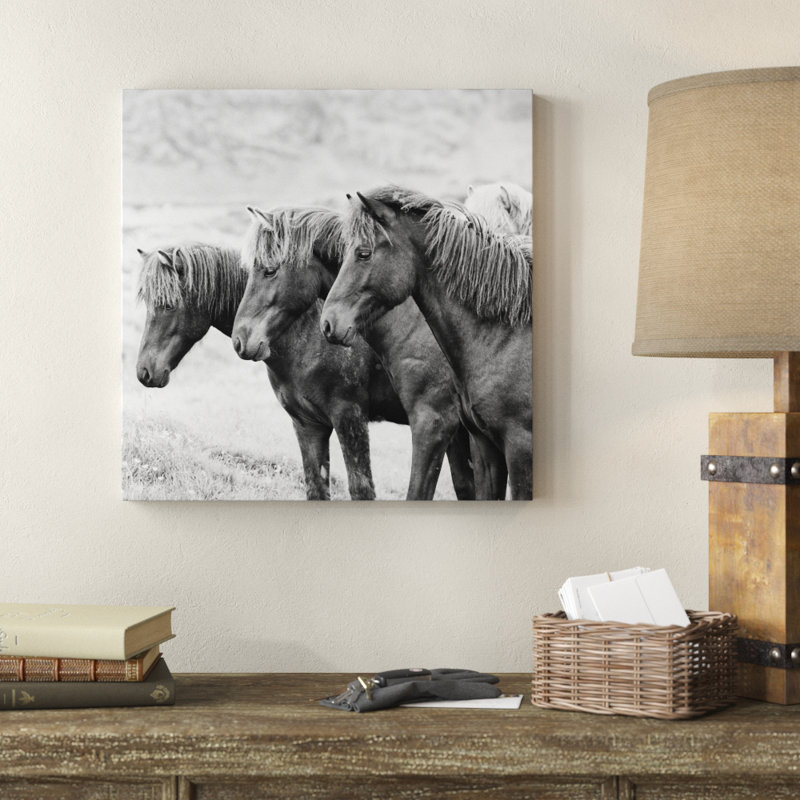 B&W Horses X by PHBurchett - Wrapped Canvas Print, 51cm H x 51cm W
