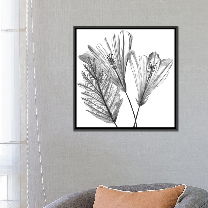 « floral silhouette ii », impression sur toile, H 16 po x l 16 po x P 1 po, Papier d'art encadré noir
