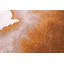 Meditation Lagoon Chestnut Recycled P.E.T Area Rug-93636414