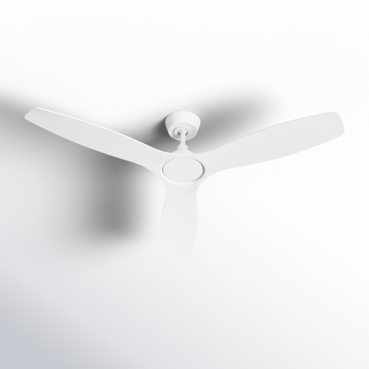 52" Willow 3 - Blade Standard Ceiling Fan with Remote Control