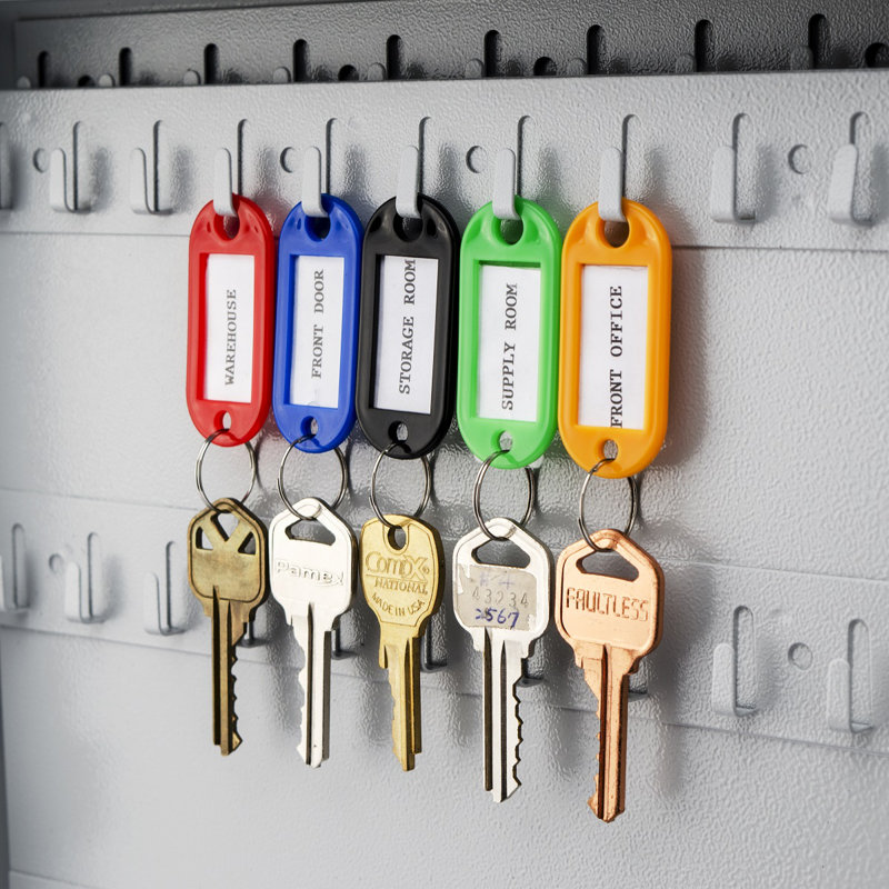Assorted Color Plastic Key Tags with Write-On Labels - 100 Pack