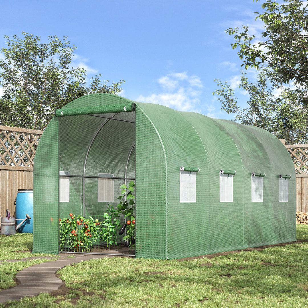 Velazquez 6.5 Ft W x 13 Ft D Greenhouse