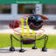 Mosier Animals Plastic Garden Statue