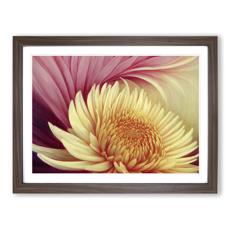 Extravagant Chrysanthemum Flower - Single Picture Frame Print, 46cm H x 64cm W x 2cm D, Walnut Framed