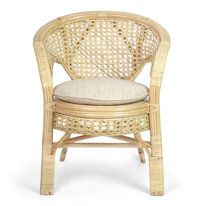 Clemensa Arm Chair in Colonial, Natural