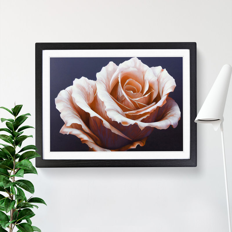 Elegant Rose Flower - Single Picture Frame Print, Black , 46cm H x 64cm W x 2cm D