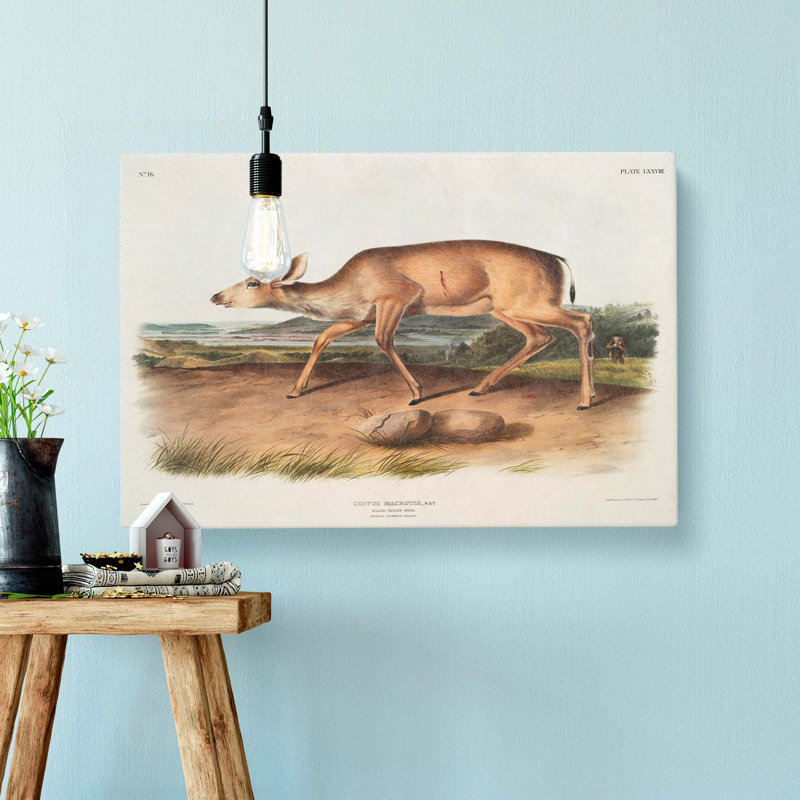Hunted Black-Tailed Deer by J.W. Audubon - Wrapped Canvas, 50cm H x 76cm W x 3cm D