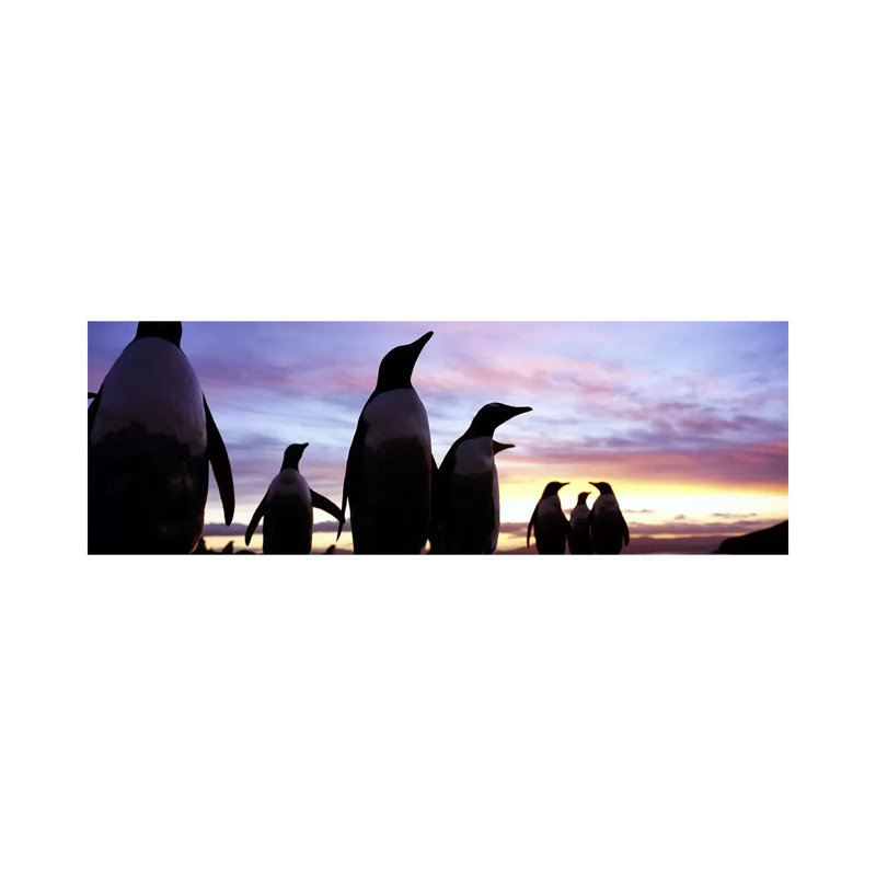 Silhouette Of A Group Of Gentoo Penguins, Falkland Islands (Pygoscelis Papua) by Panoramic Images - Wrapped Canvas Panoramic Print