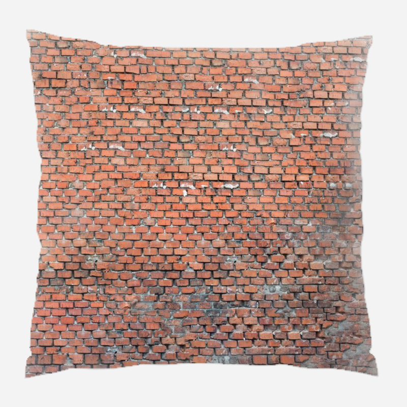 Reversible Throw Pillow, Indoor/Outdoor