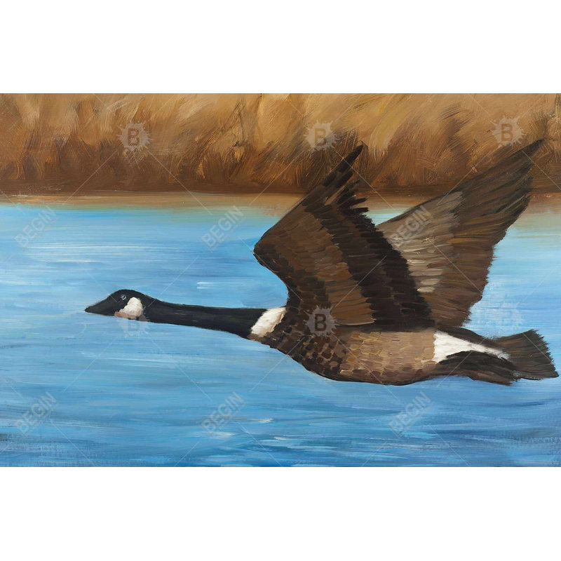 " Canada Goose ", 24" H x 36" W