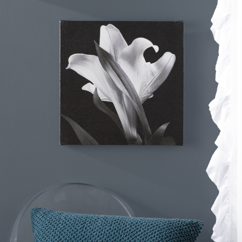 Lis, reproduction de photo sur toile tendue, H 24 po x l 24 po x P 2 po
