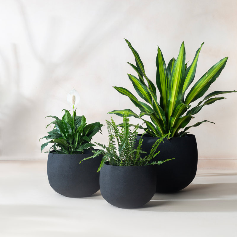 Pot à fleurs rond fait à la main intérieur / extérieur avec drainage Eden, Ensemble de 3 - Petit / Moyen / Grand, Noir
