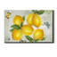 Carte postale citrons - reproduction sur toile tendue-327769485