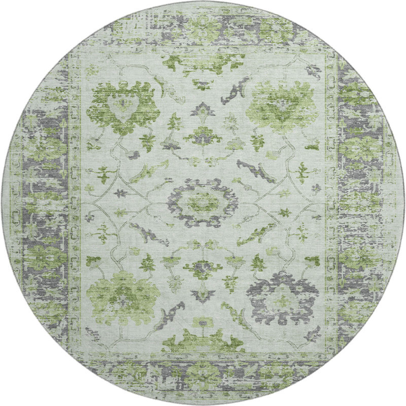 Premium Machine Washable Pirtle Border Rug, Round 8'
