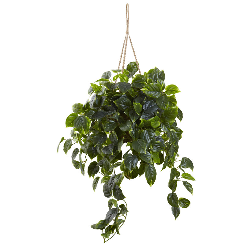 Panier suspendu Pothos résistant aux rayons UV (intérieur / extérieur)