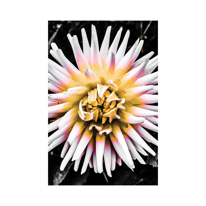 Colour Pop Yellow by Heidi Bannon - Wrapped Canvas Print, 30.48cm H x 20.32cm W x 1.905cm D