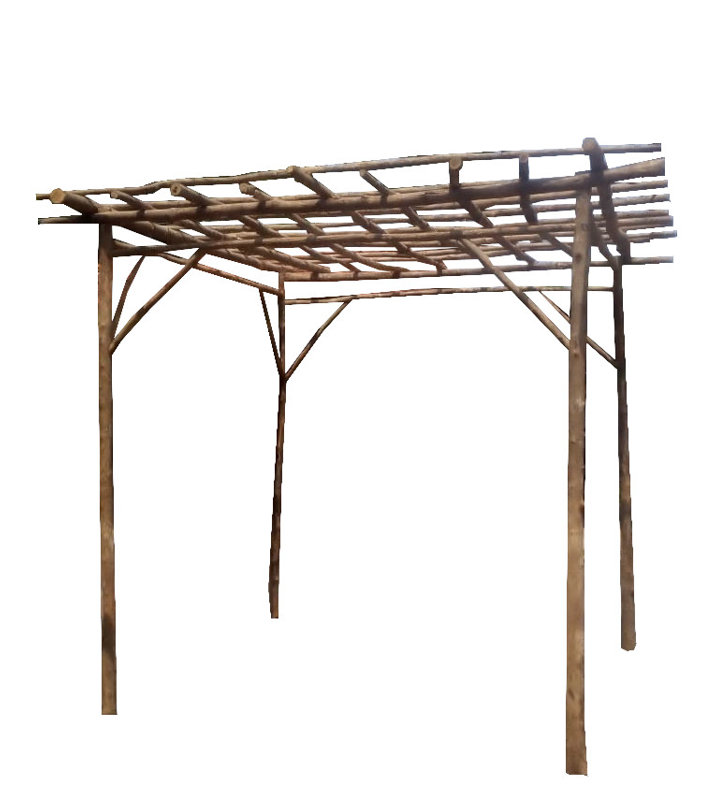 10 Ft. W x 10 Ft. D Solid Wood Pergola, Debarked 
