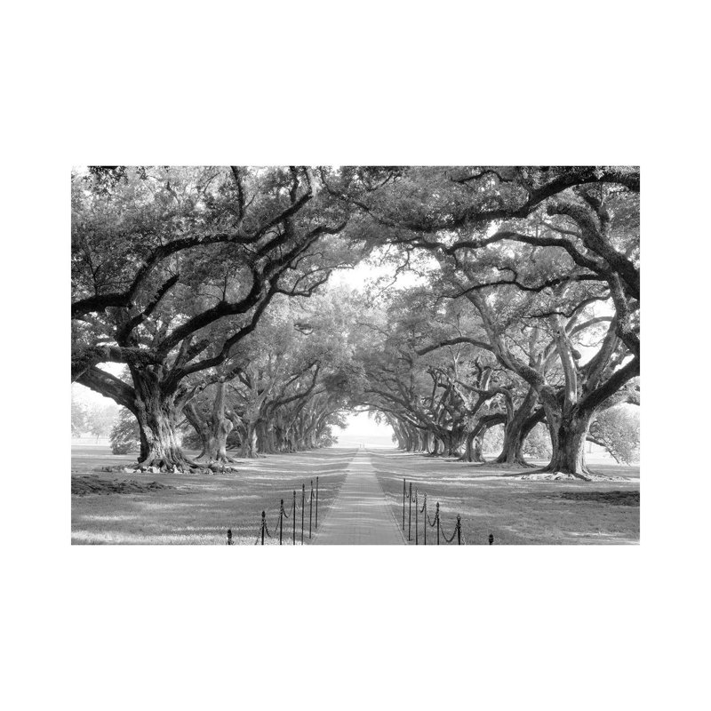 Print, 31cm H x 47cm W