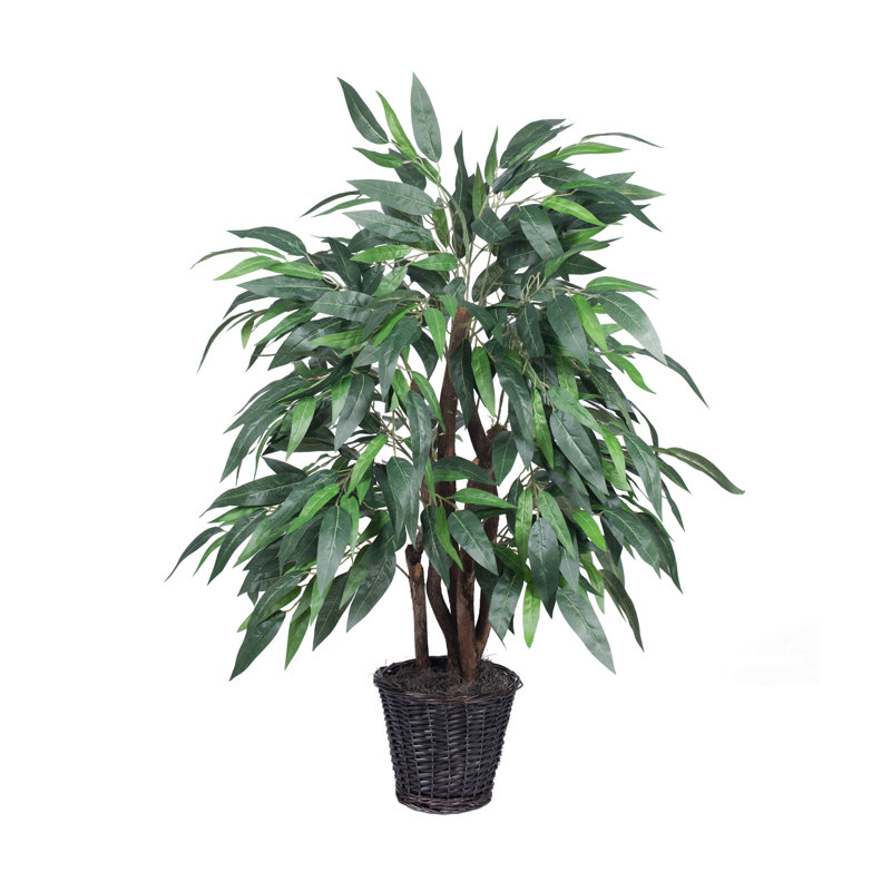 48'' Faux Mango Tree in Wicker/Rattan Basket