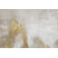 Hand -painted golden wings acrylic painting