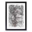 Reflection Of The Pink Blossom Trees Sketch - Single Picture Frame Print on MDF-57078359-57078355