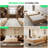 12'' Mattresses in a Box, Memory Foam Hybrid Mattress, with Individual Pocket Spring for Motion Isolation & Silent Sleep, Pressure Relief-348612969-348612949