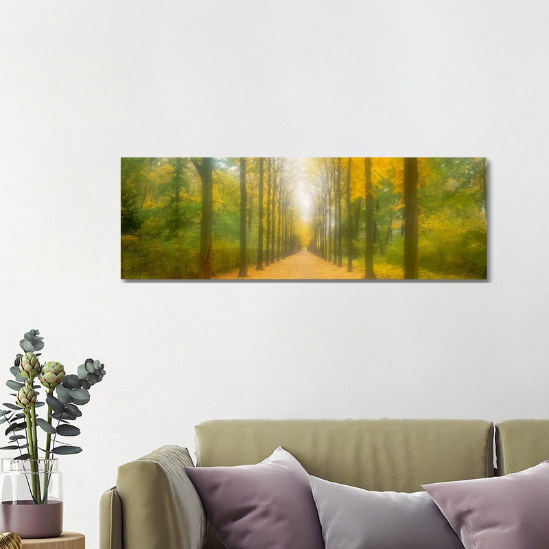Path Schwetzingen Germany by Panoramic Images - Wrapped Canvas Panoramic Print, 121.92 cm H x 40.64 cm W x 1.91 cm D