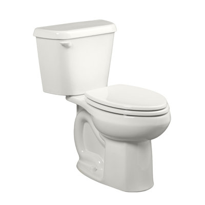 Toilette allongée deux pièces 1,6 gpf de couleur brute (siège non inclus) Colony