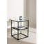 Bleiweiss Glass Top End Table