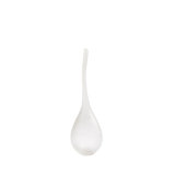 Curvature Bottle
