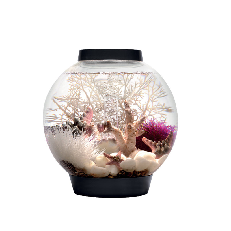 biOrb CLASSIC Aquarium with Standard LED Light, 4 Gallon (12.50"H x 11.75"W x 11.75"D)