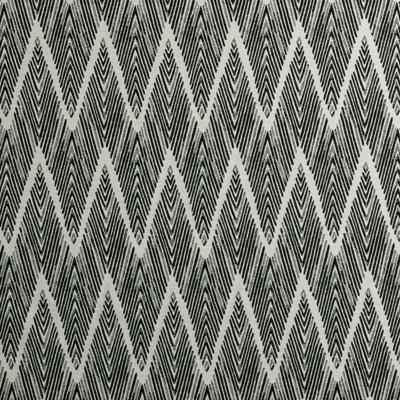 Bw1022 - Black/White Fabric