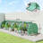 Low Design Mini Greenhouse With Four Roll-Up Doors, PE Cover, And Easy Assembly For Balconies And Patios