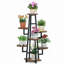 Zoya Plant Stand-747626393-793201181