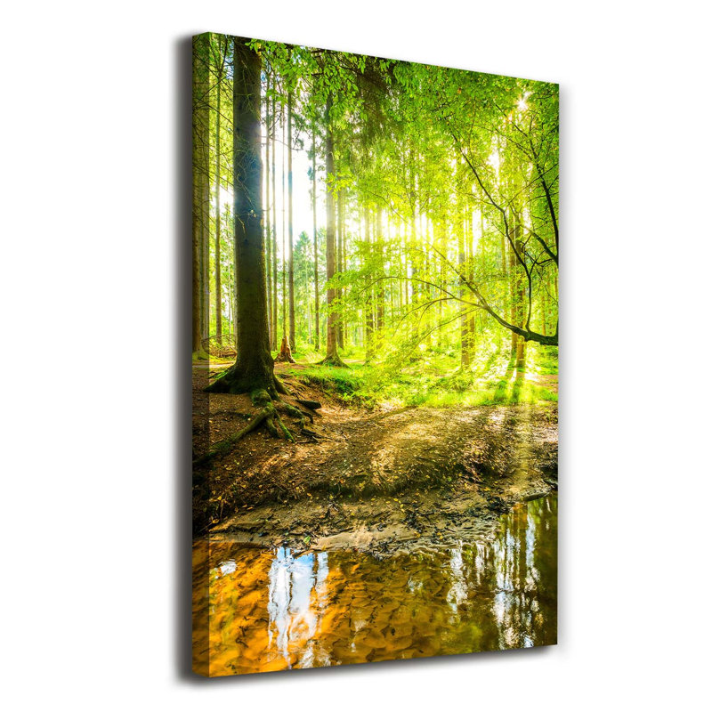 Sun In The Forest - Wrapped Canvas Print