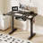Mancheer Home Office Height Adjustable Standing Desk with USB Ports and Cable Management Tray-473508513-473508514