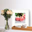 Cadre pour photo simple en bois mat - Basics by Wayfair ™-1738875236-1738875261