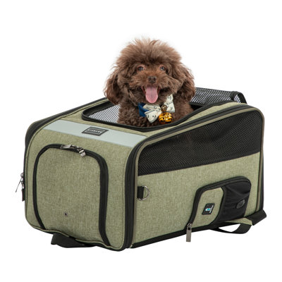 Collapsible Pet Carrier with 2 Doors