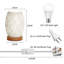 Alman Wood Desk Lamp