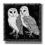 «Arsenic and Old Lace Bw No Words 4» par Wild Apple Portfolio, art mural sur toile, 37 po x 37 po-1316388380