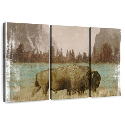 Bison In The Park